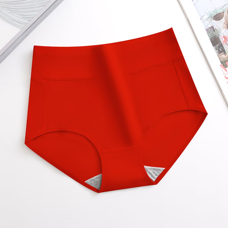Plus Size Hip-Lifting High-Waist Underwear – Autumn & Winter
